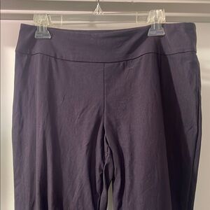 NIC+ZOE Women's Purple Trousers
